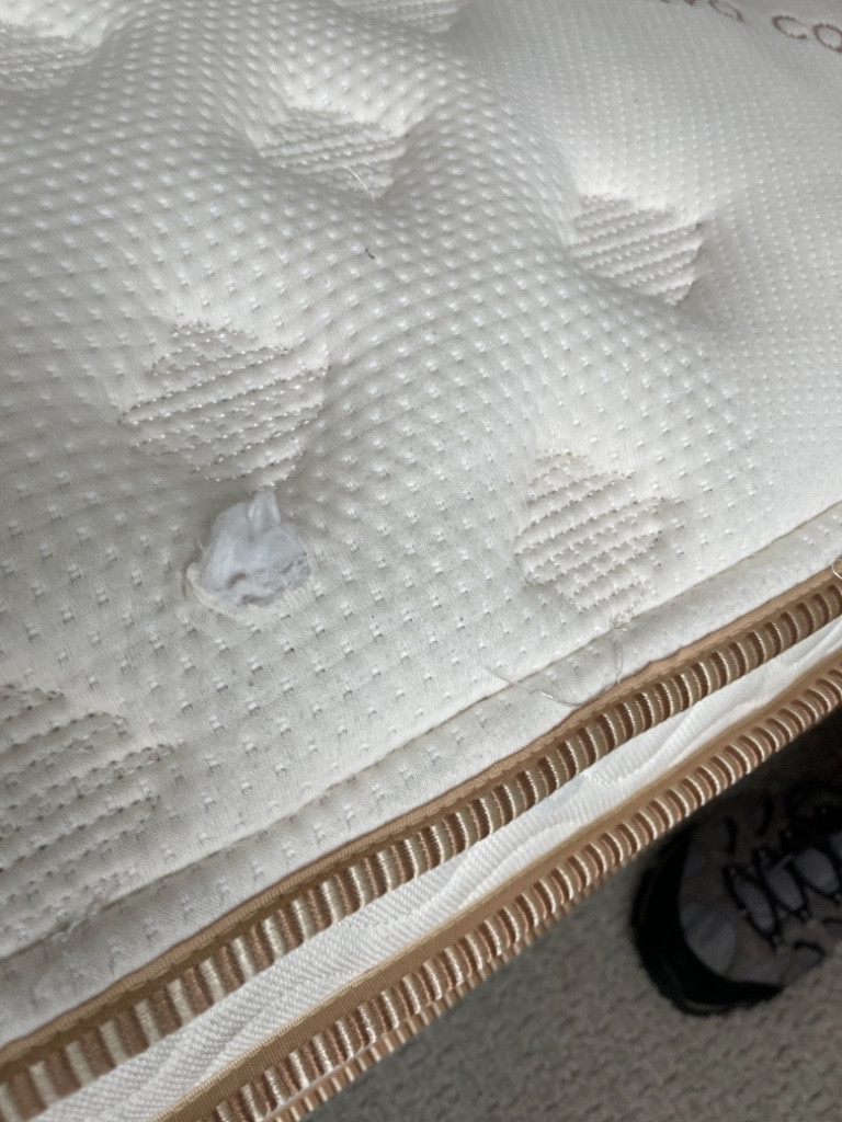 Photo by Maiken Pickton of SH Movers Inc - Large