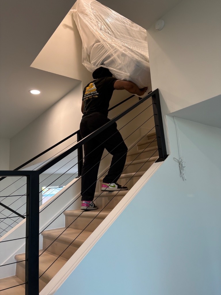 Second photo by Bridgette Allison of Muscular Moving Men - Large