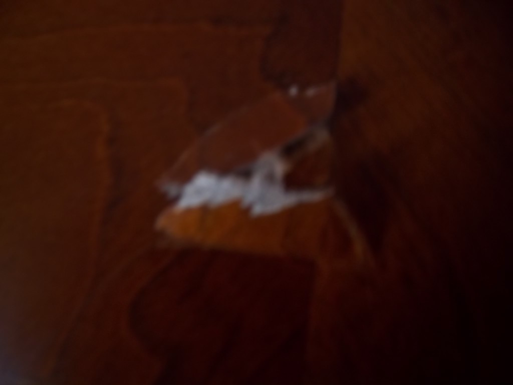 Photo by Linda Brooks of Britannia Movers International - Large