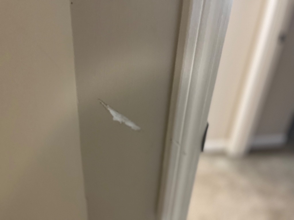 Second photo by Reneadre Mosley of American Choice Van Lines - Large