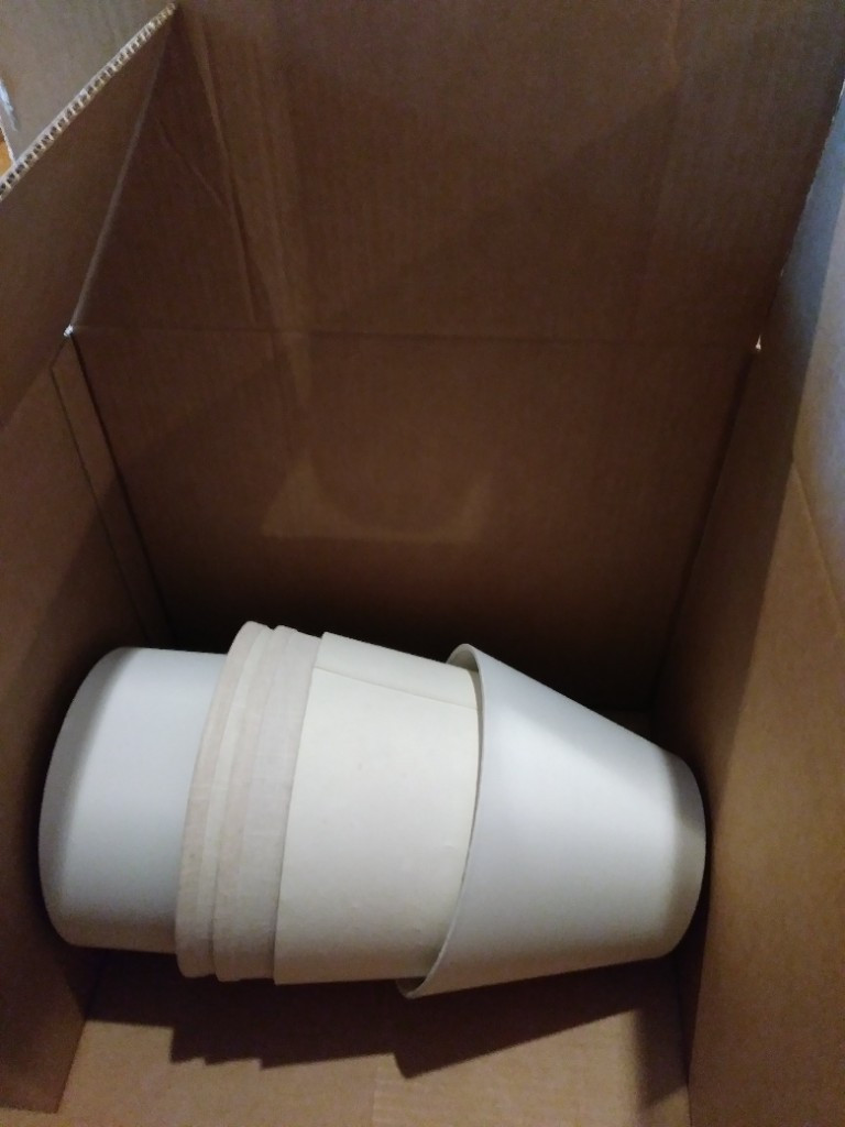 Photo by Kate Stout of Moving Nation - Large