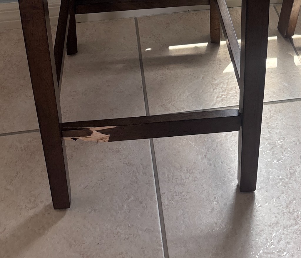 Second photo by Catherine Rodriguez of Northern Moving Systems - Large