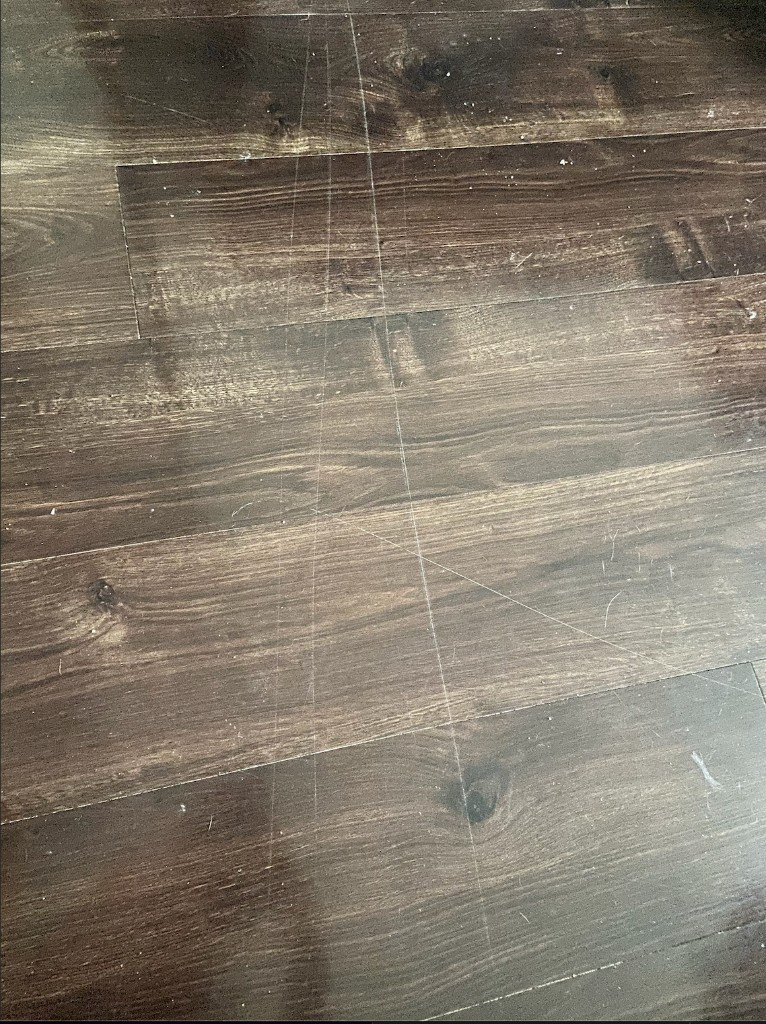 Second photo by Jaelynn Grace Ortiz of Mayzlin Relocation LLC  - Large