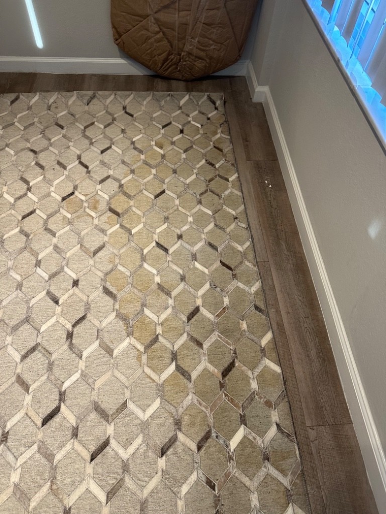 Second photo by Elfi Martinez of International Van Lines - Large