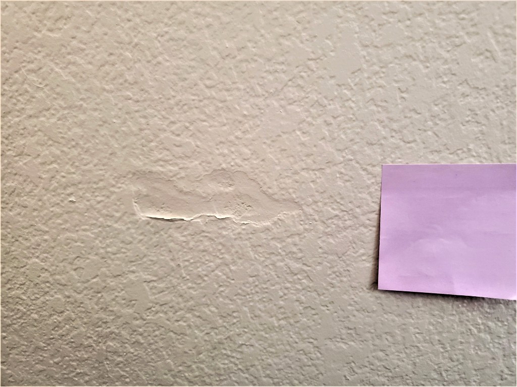 Second photo by Zey Vindara of Copperstate Moving - Large