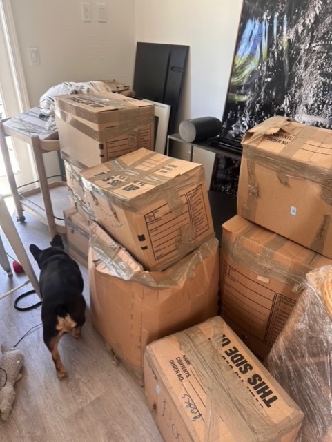 Photo by Jonas Philippe of NXT Level Moving LLC - Large