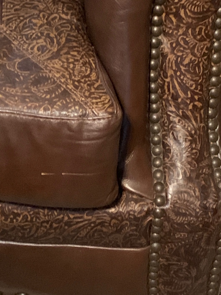 Second photo by Lori Marshall of Giovanni Van Lines LLC - Large