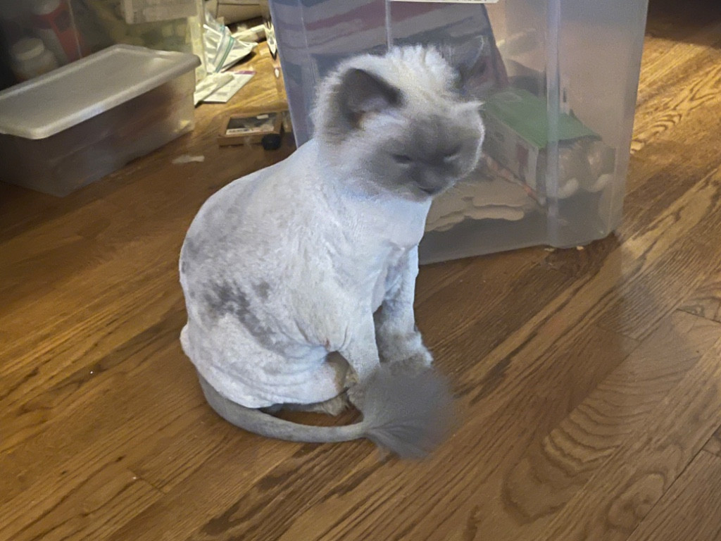 Photo by Mark Slay of All My Sons Moving and Storage - Large