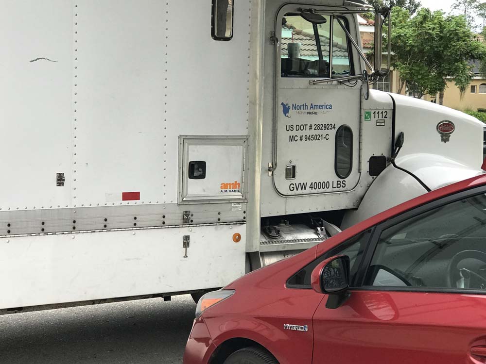 Second photo by Adam of North America Prime - Large