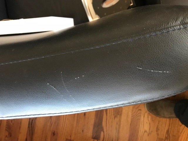 Photo by Ken O of In and Out Moving & Storage, Inc. - Large