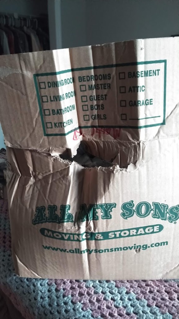 Second photo by Daniel Schlegel of All My Sons Moving and Storage - Large