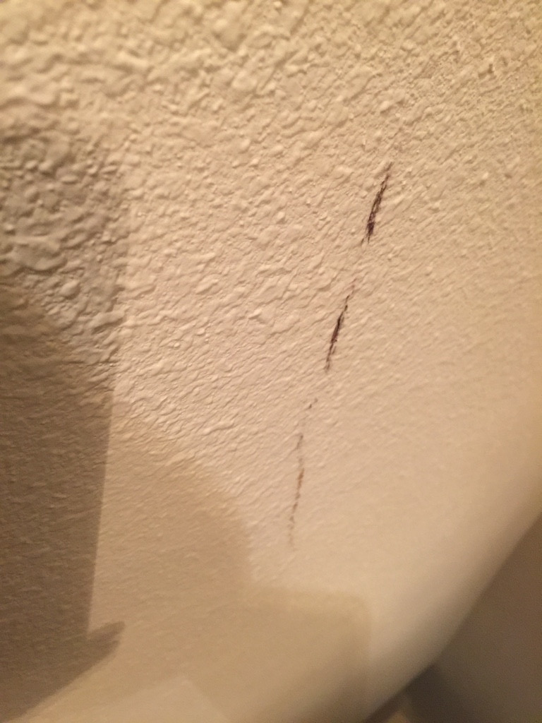 Second photo by Frank Pugliano of 24/7 Logistic Services - Large