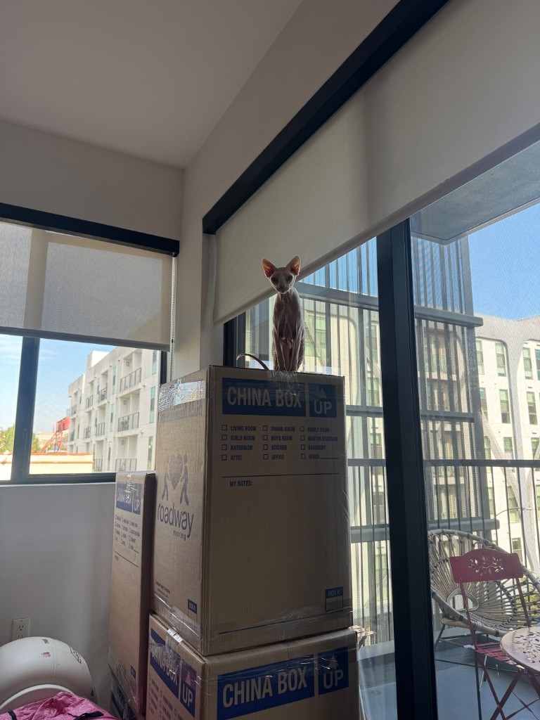 Photo by Stella Kae of Roadway Moving - Large