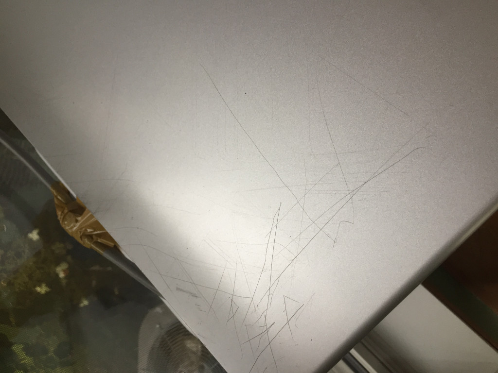 Second photo by Marsha Burbine of 2 Burley Men Moving - Large