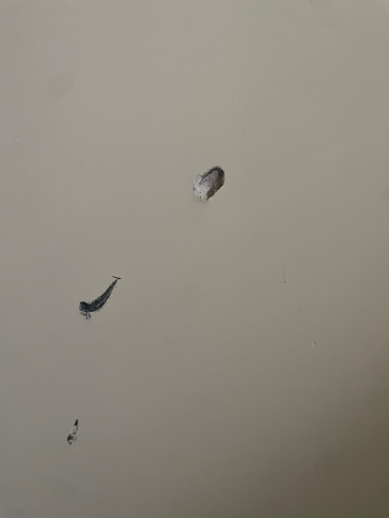 Second photo by Nadia Keren of NK Movers - Large