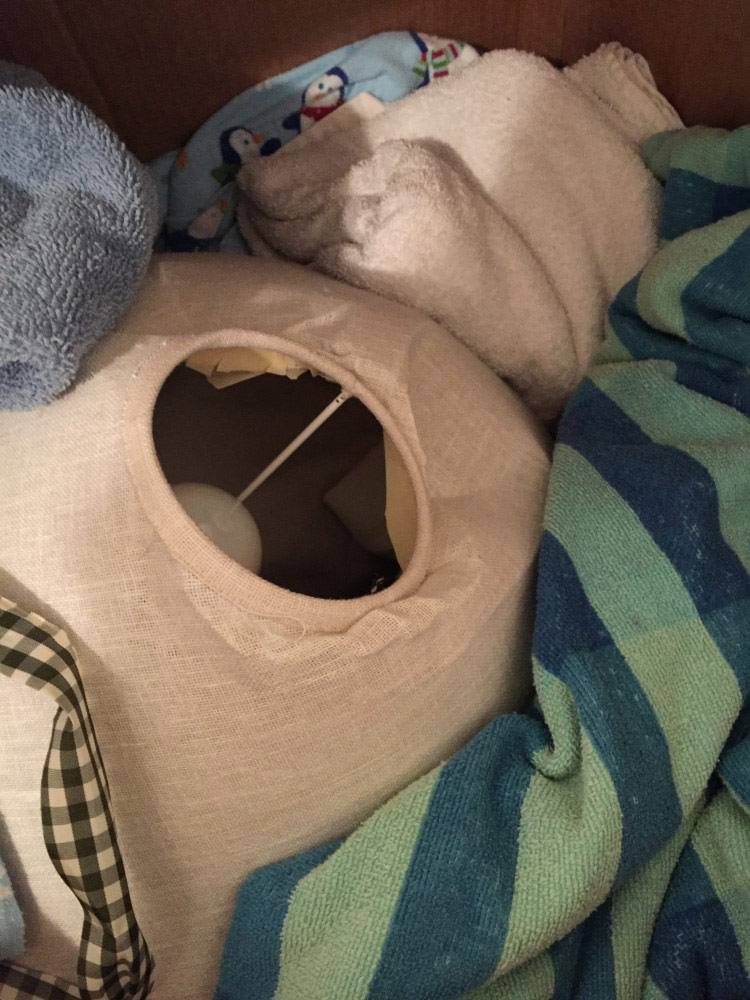 Second photo by Lynn of Superior Moving Systems Inc - Large