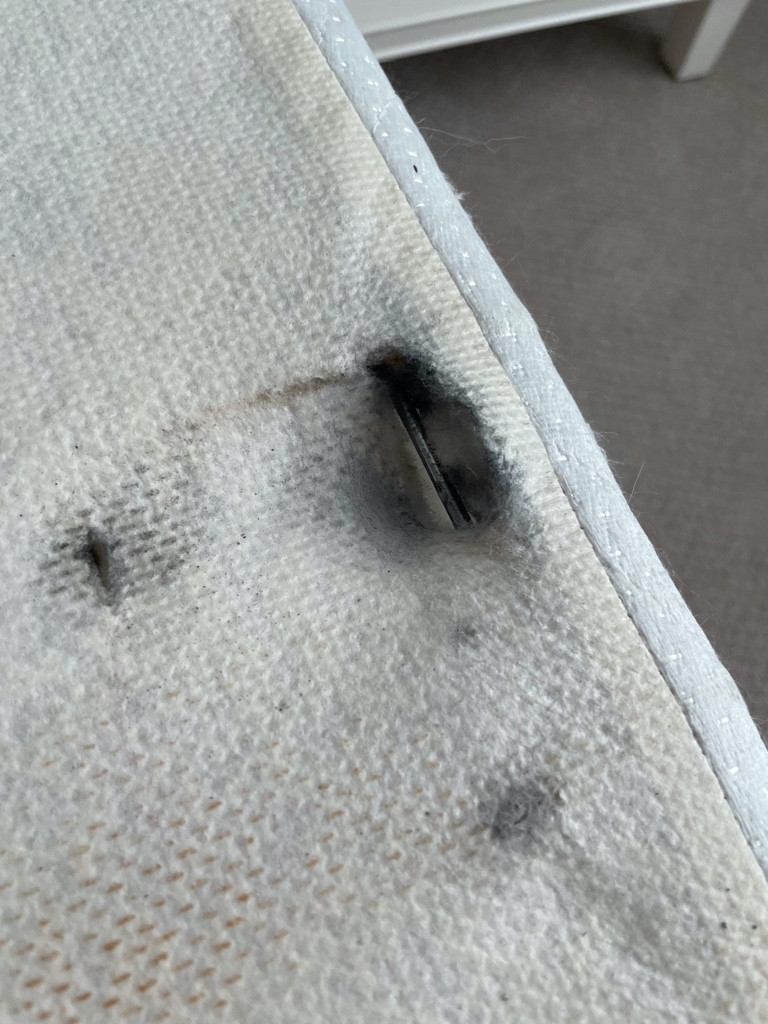 Second photo by Andrea Staby of Moving Staffers - Large