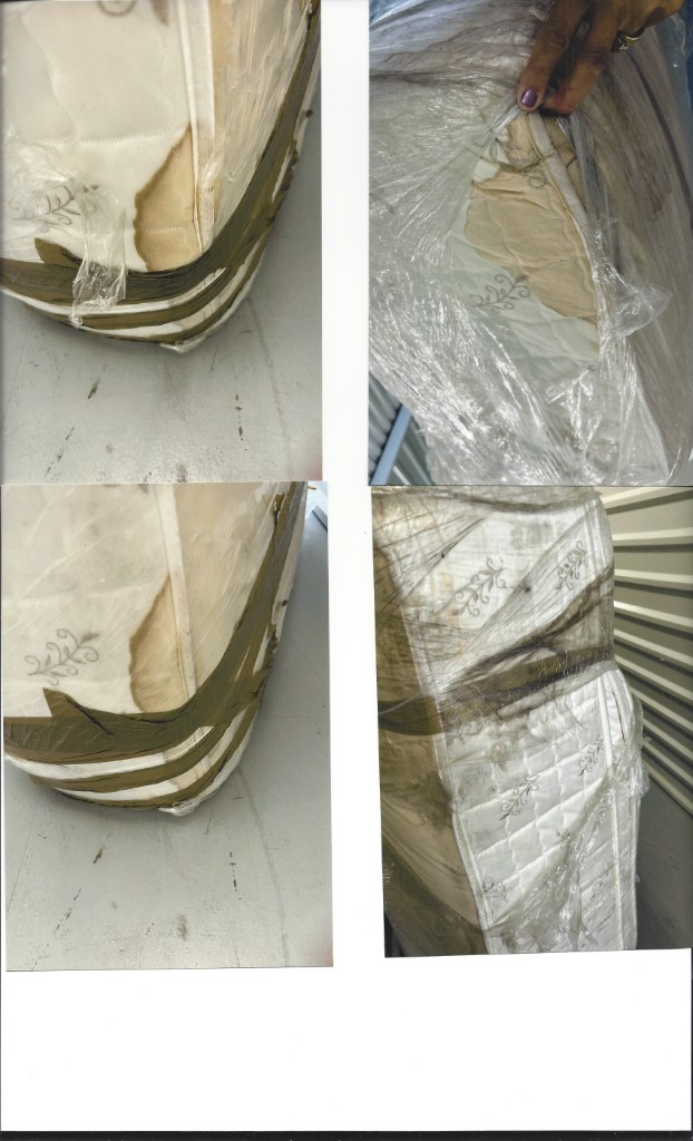 Second photo by Carol Mcmurrough of Express Moving Consultants - Large