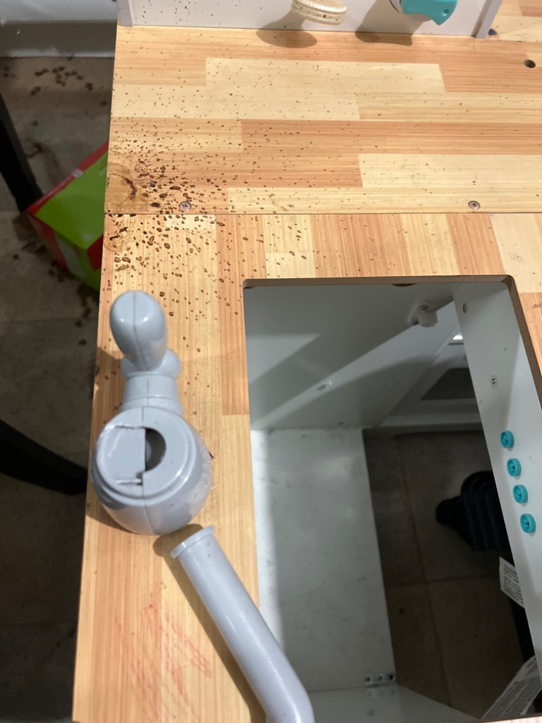 Photo by Bethany Oldfield of Diamond Relocation  - Large