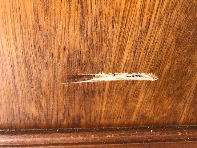 Second photo by Andrea Wolter of Carter Moving and Delivery - Large