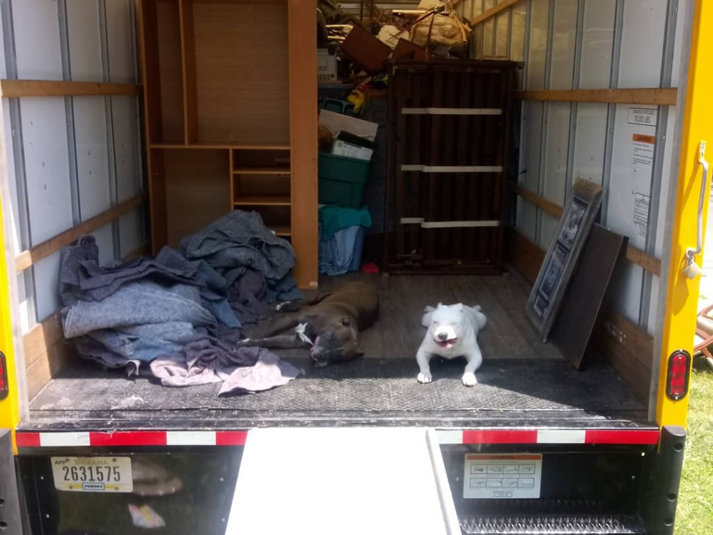 Photo by Stacey Gonzalez of Radius Moving and Storage Corp - Large