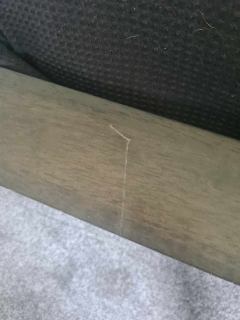 Photo by Courtenay Brown of CBD Movers - Large