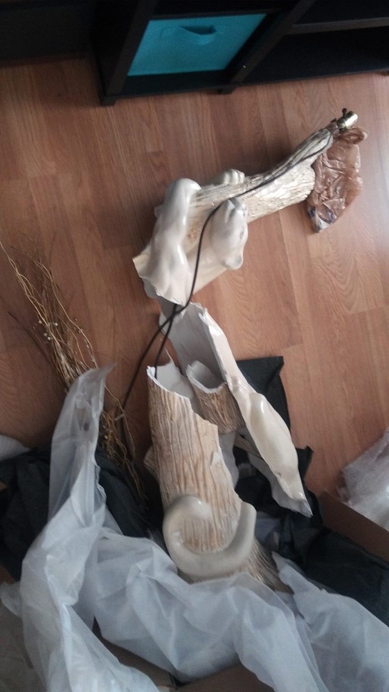 Second photo by Tammy Brown of Triple 7 Movers - Large