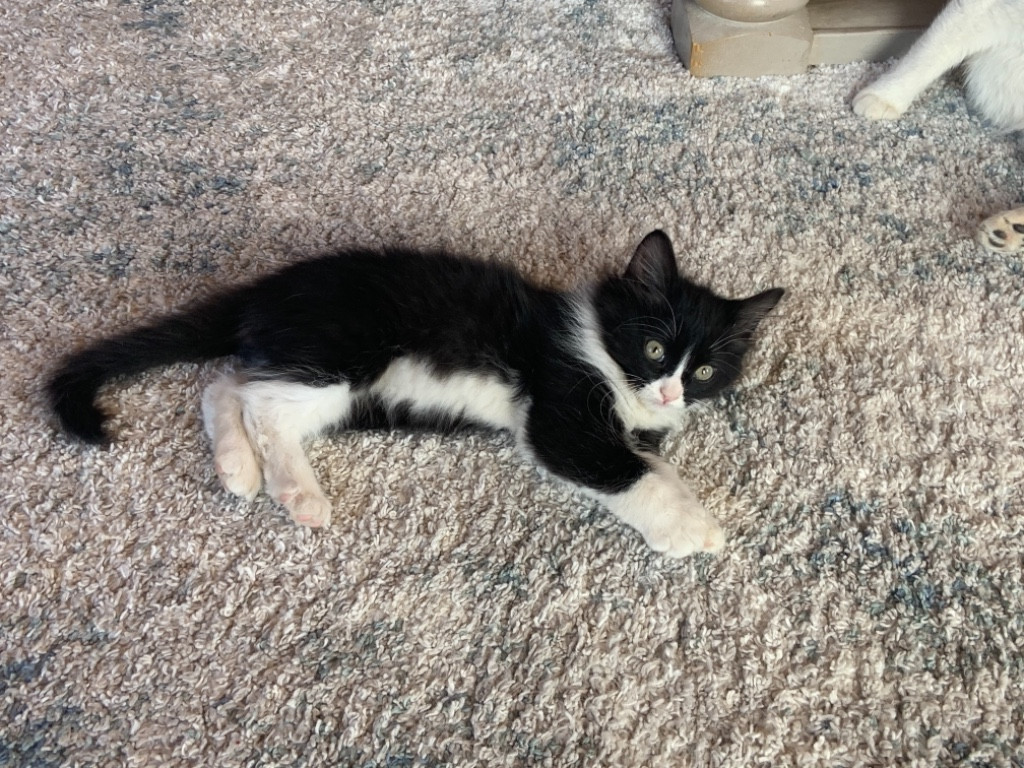 Photo by Sarah Hardman of Priceline Logistics LLC - Large