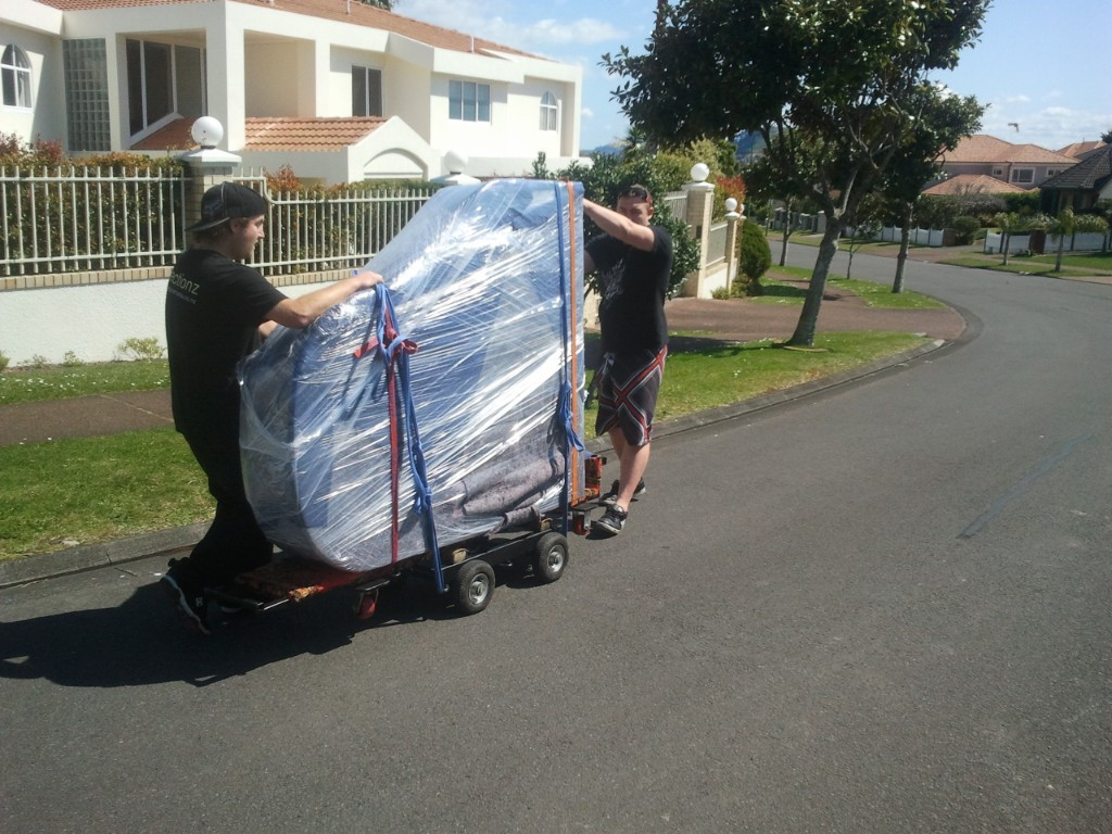 Photo by Tony Guy of Easy Movers NZ - Large