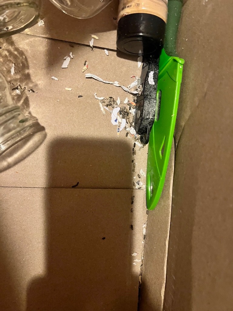 Second photo by Amber Cory of Sunflower Relocation - Large