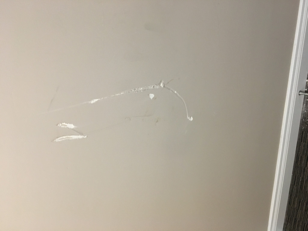 Photo by Sondra Amon of 2 Burley Men Moving - Large