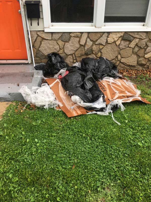 Photo by Beverly of Giovanni Van Lines LLC - Large