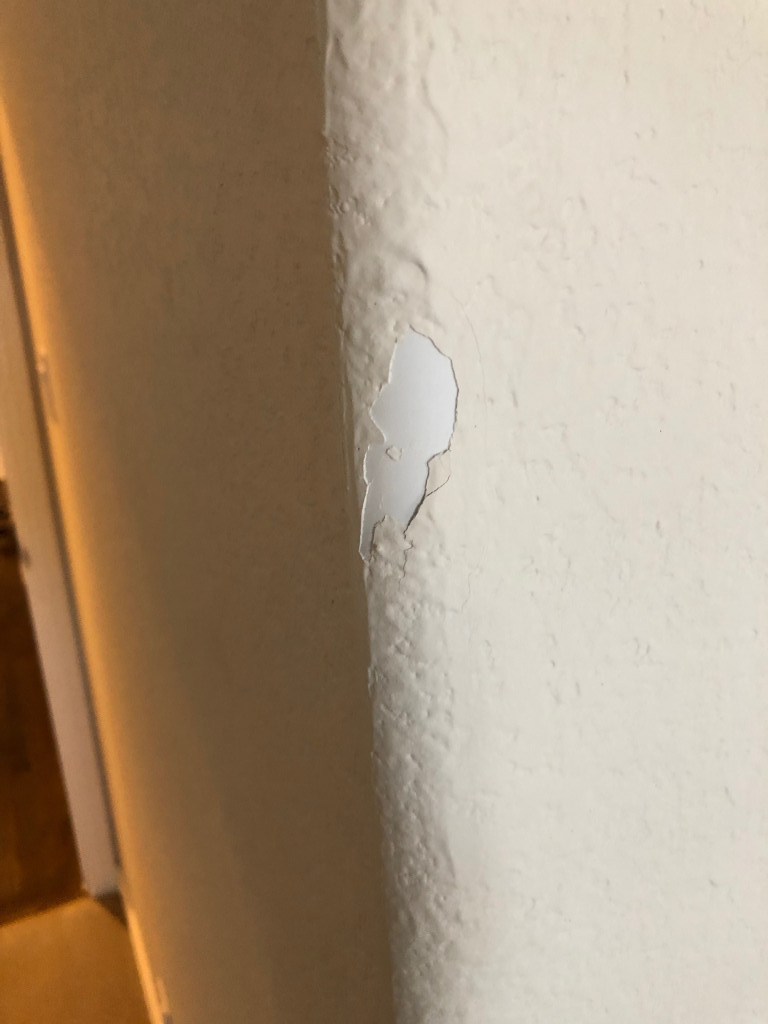 Second photo by Roxanne Crone of Best Interstate Moving and Storage - Large