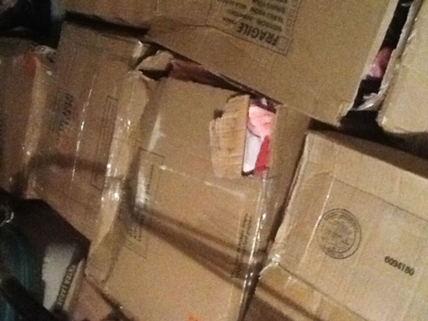 Photo by Annette of Alpha & Omega Moving and Storage - Large