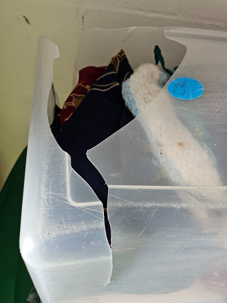 Photo by Aj Chauradia of America First Moving - Large