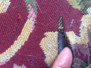 Photo by Allyson Turner of Honest and True Moving Crew LLC - Large