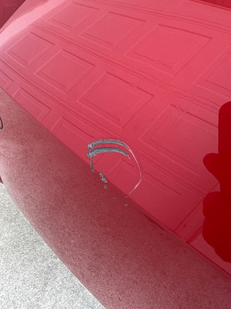 Photo by Rondi Lambeth of Sonic auto transport - Large