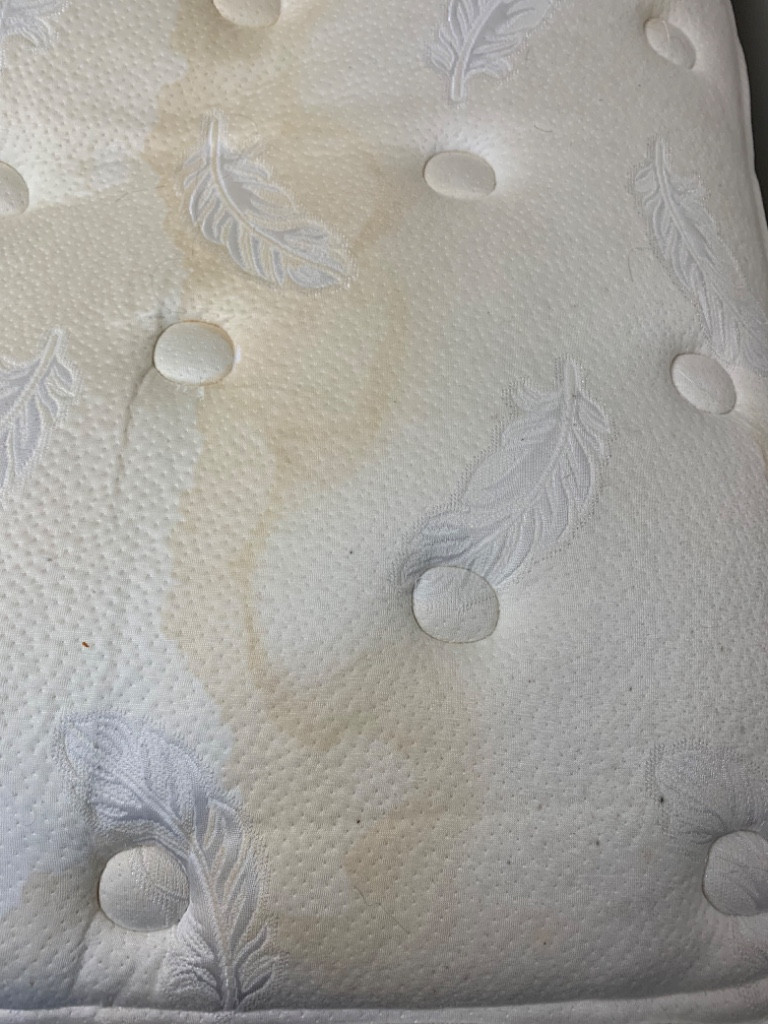 Photo by Vernon Bellows of TLC Movers - Large