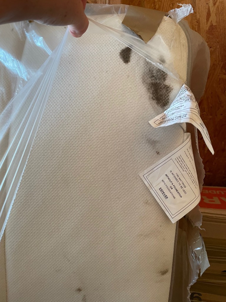 Second photo by Maxim Khodyrev of Trinity Relocation Group - Large