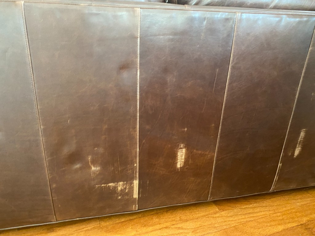 Photo by John Mccrane of Pro Movers Inc - Large