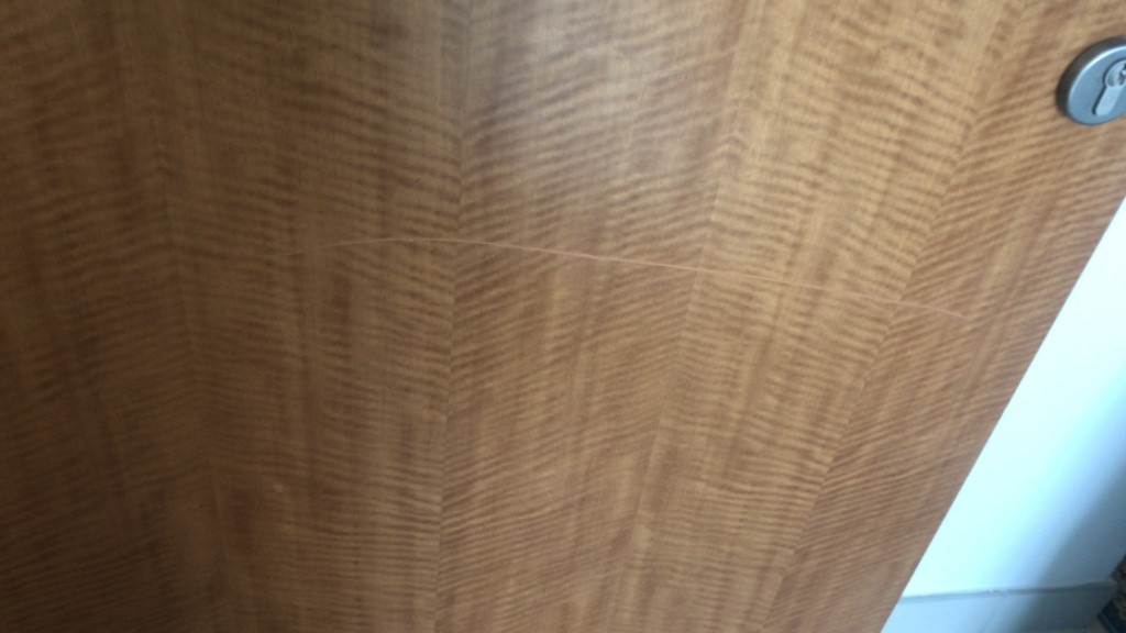 Photo by Salwa Mostafa of Movonics - Large