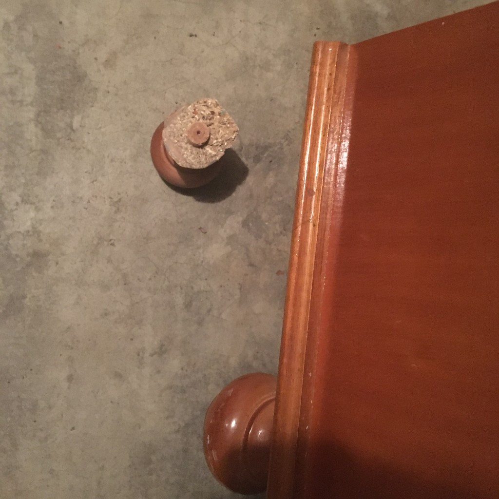 Second photo by Carla Kelliher of Bristol Movers & Storage Corp - Large