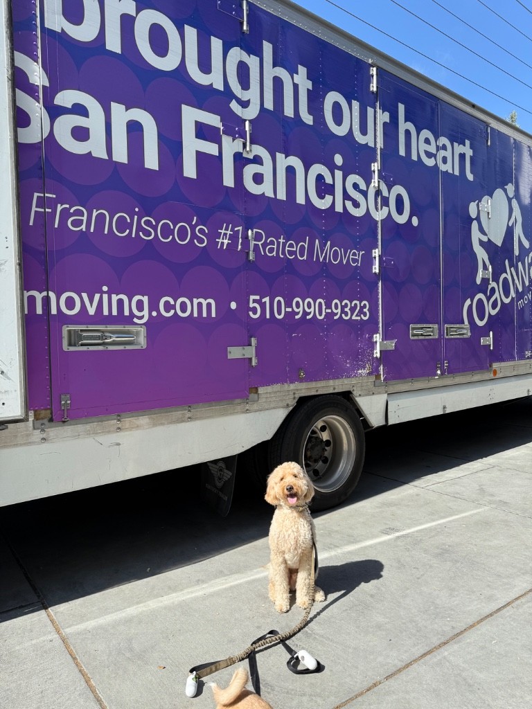 Second photo by Louie Chan of Roadway Moving - Large