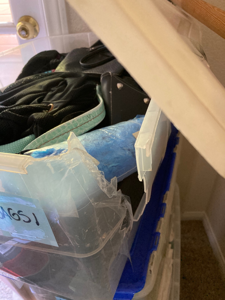 Second photo by Jj Graham of International Van Lines - Large