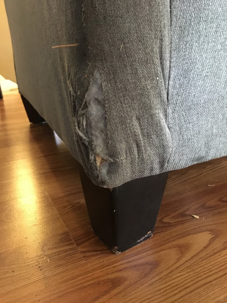 Photo by Chris of Long Distance Movers Inc. - Large