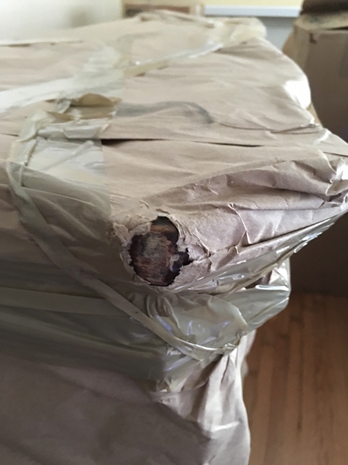 Photo by J Gerhart of Moving Staffers - Large