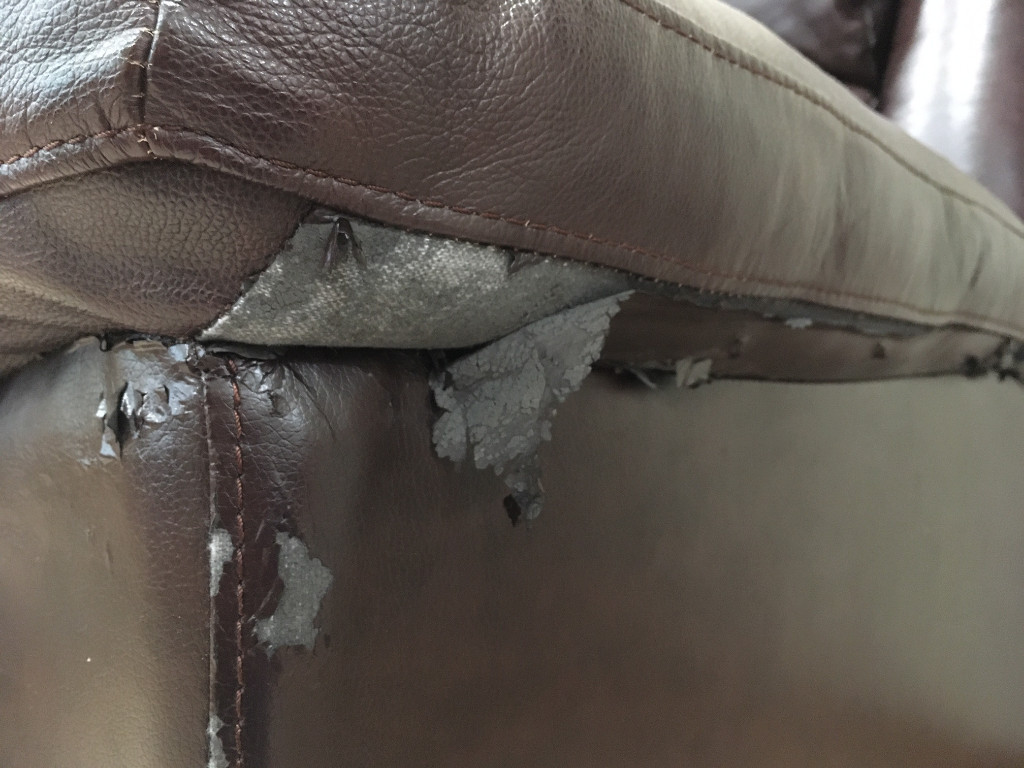 Photo by Michael Franco of Eagle Moving Group Inc - Large