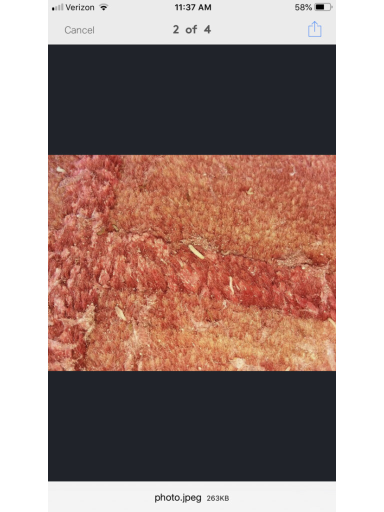 Photo by Kathleen Jowdy of Arnoff Moving & Storage - Large