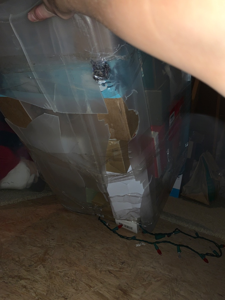 Photo by Jenna Allen of Jackson Movers - Large