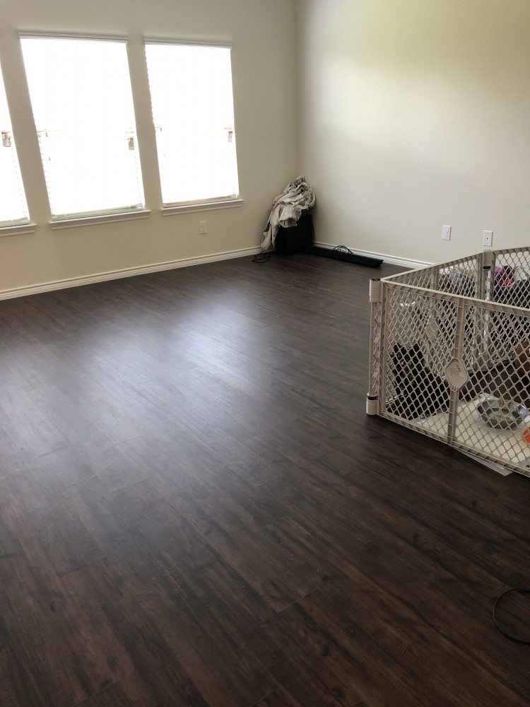 Photo by Sandra of Geo Van Lines - Large